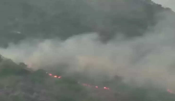 காட்டுத் தீ