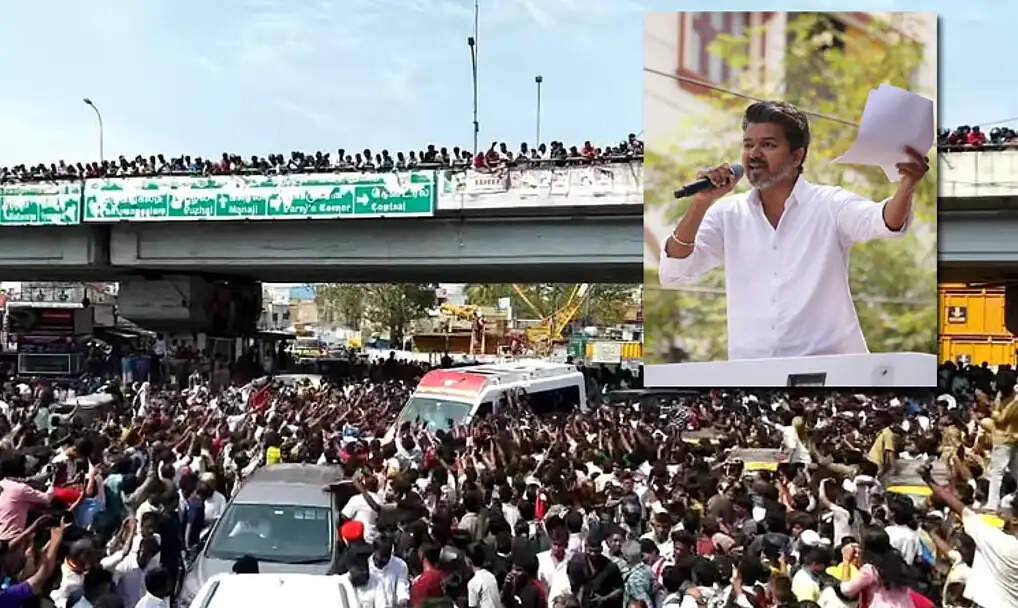 விஜய் தவெக