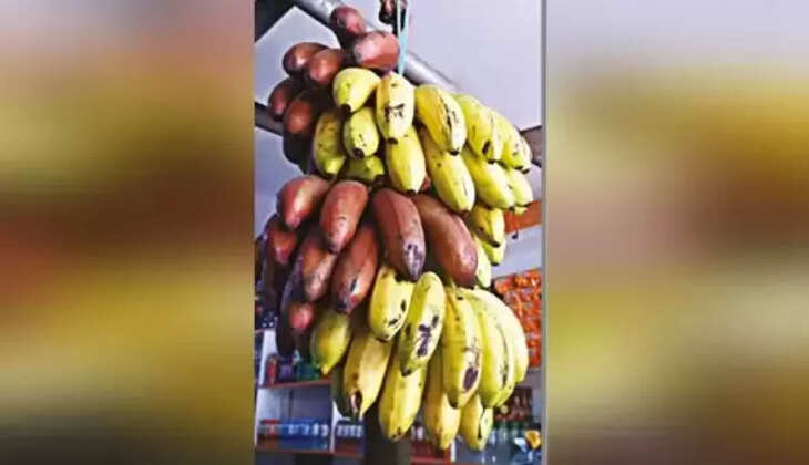 வாழைப்பழம் வாழை