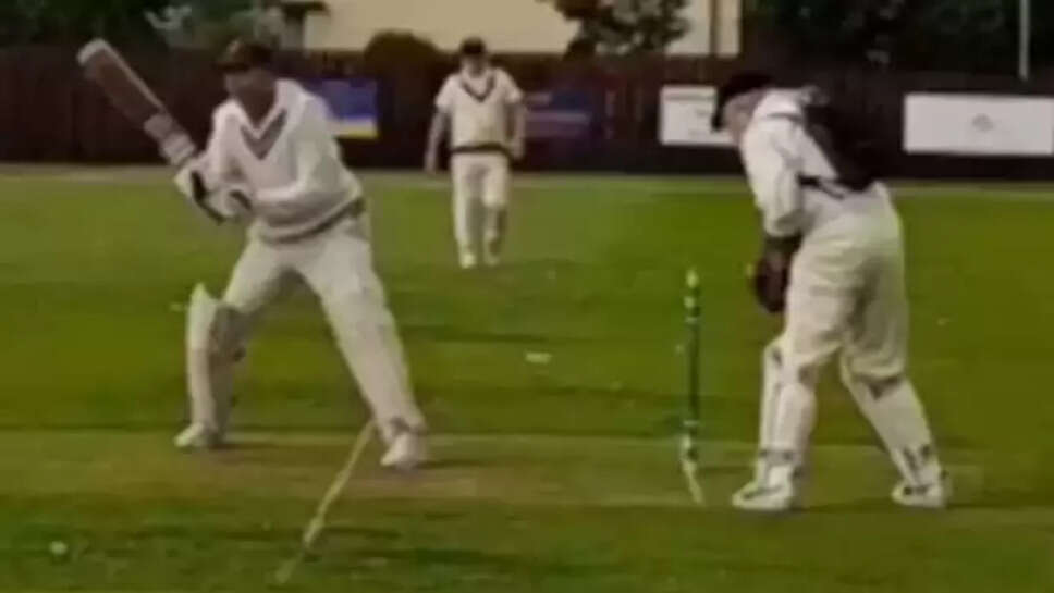 அலெக்ஸ் ஸ்டீல்