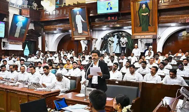 சட்டசபை சட்டப்பேரவை விஜய் முதல்வர் பட்ஜெட்