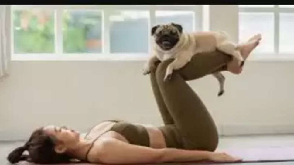 பப்பி யோகா