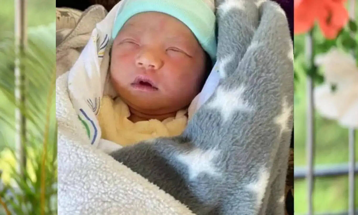 ஜென் பீட்டா