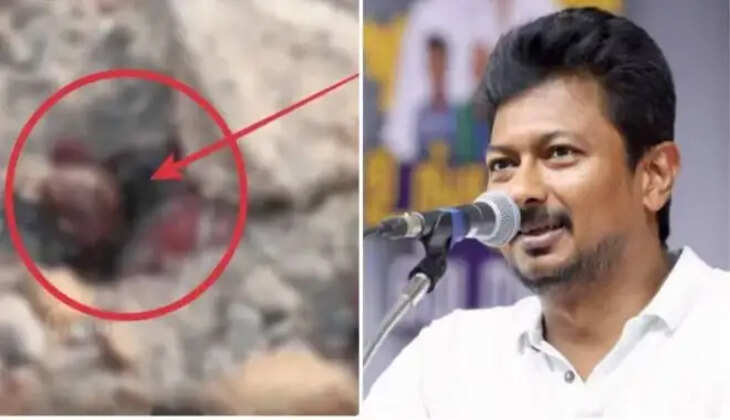 உதயநிதிதவெக