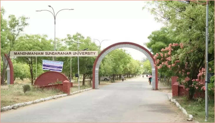 பல்கலைக்கழகம்