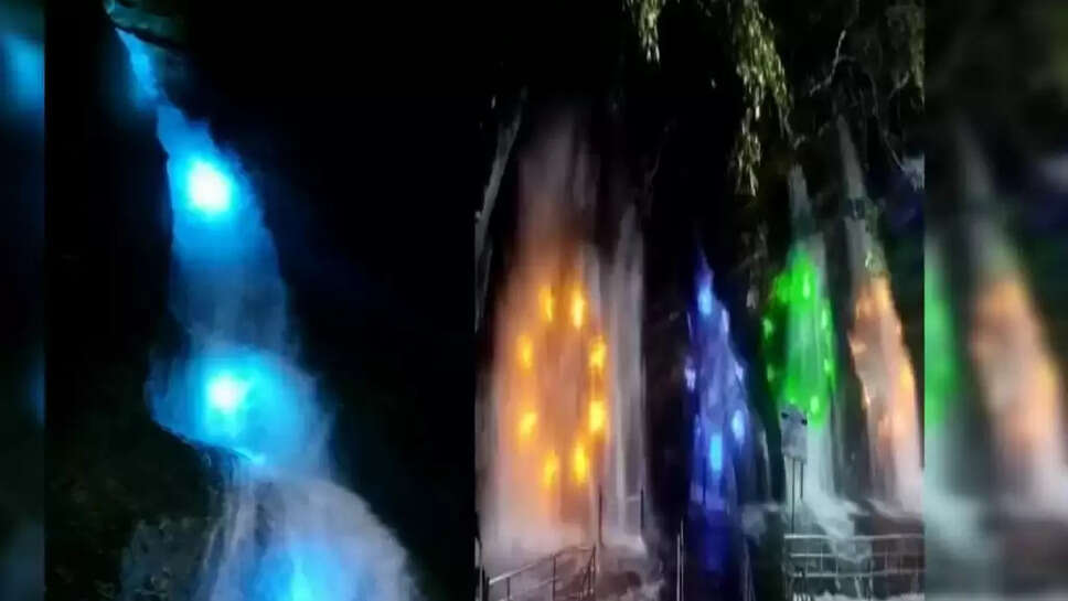 இன்று குற்றாலத்தில் மலர்கண்காட்சியுடன் சாரல் திருவிழா தொடங்கியது... வண்ணவிளக்குகளில் ஒளிரும் அருவிகள்!