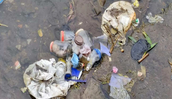 சிசுக்கள்