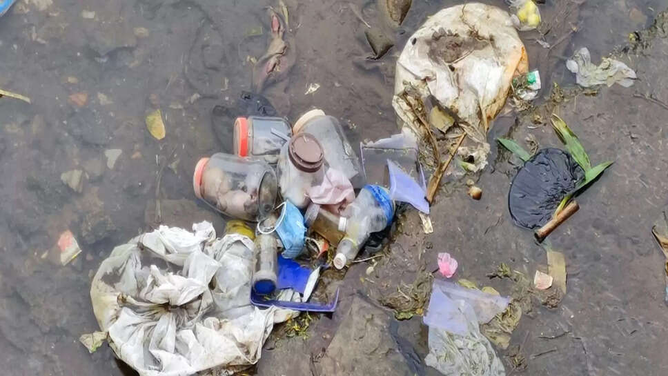 சிசுக்கள்