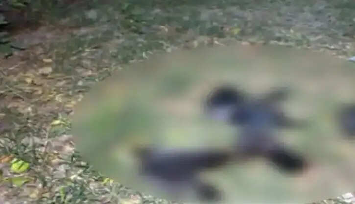 காகம் காக்கா