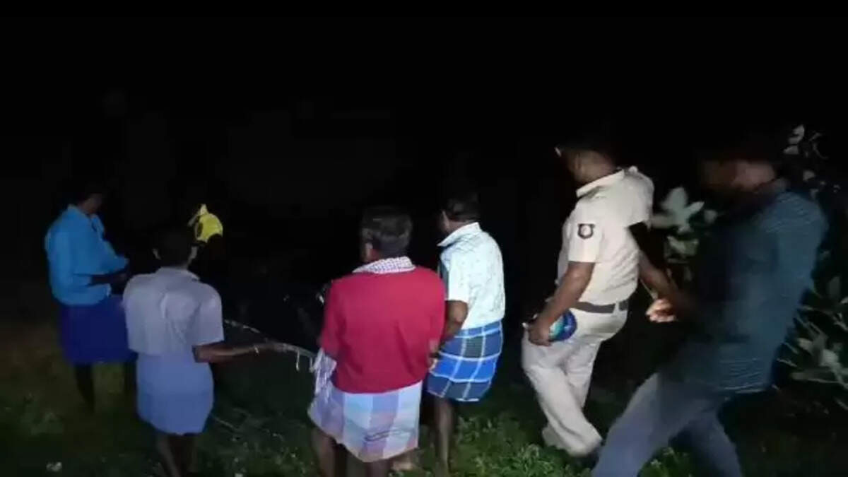 மூர்த்தி 