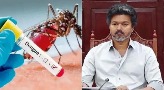 டெங்கு