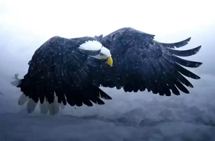 கார்த்திக் சுப்ரமணியம்