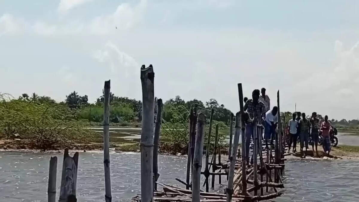 மூங்கில் பாலம்