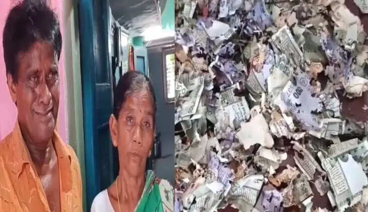 ஆதிமூலம் லட்சுமண ராவ், கம்பம்மா