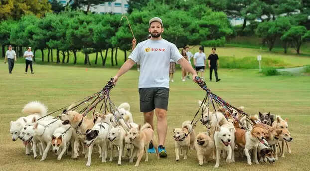 நாய்கள்