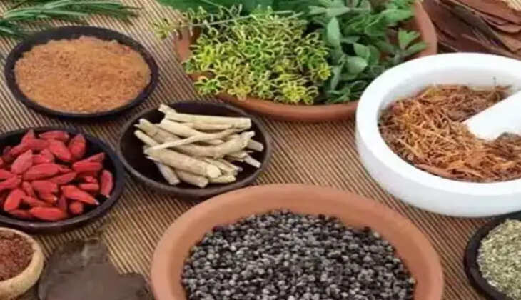 மூலிகைகள்