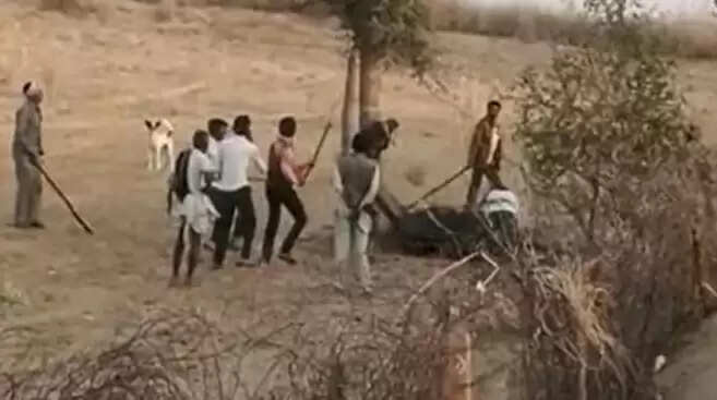 ஒட்டகம்