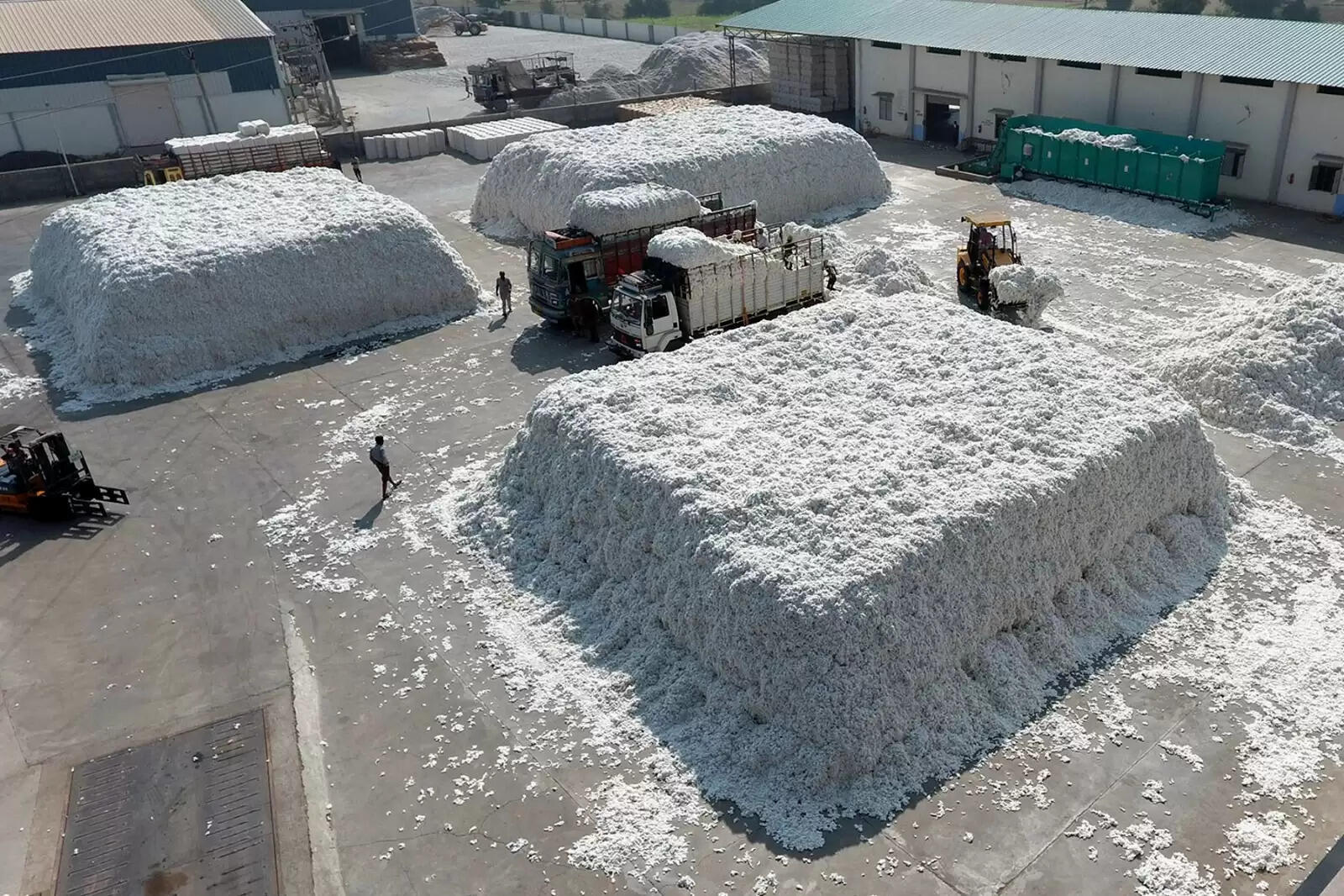 தொழிற்சாலை காட்டன் பருத்தி