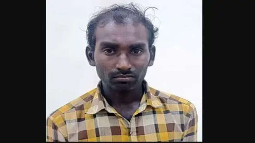 பாலியல்