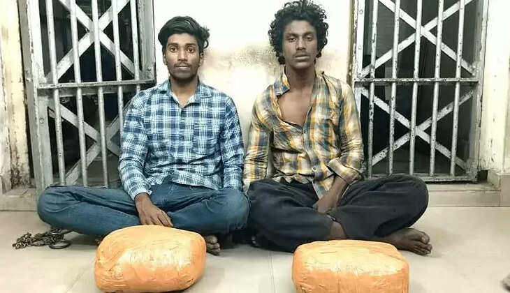 ஆலன் - அஸ்வின்