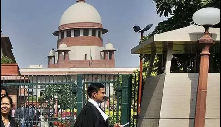 துணை ஆட்சியர் தாசில்தாராக பதவி இறக்கம்... உச்சநீதிமன்றம் உத்தரவு!