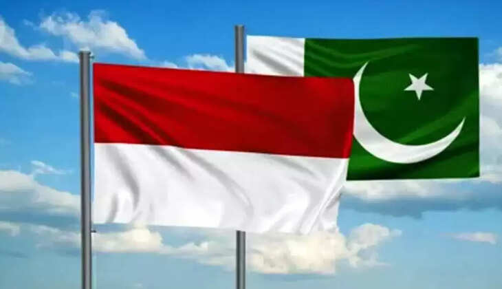 பாகிஸ்தான் - இந்தோனேசியா 