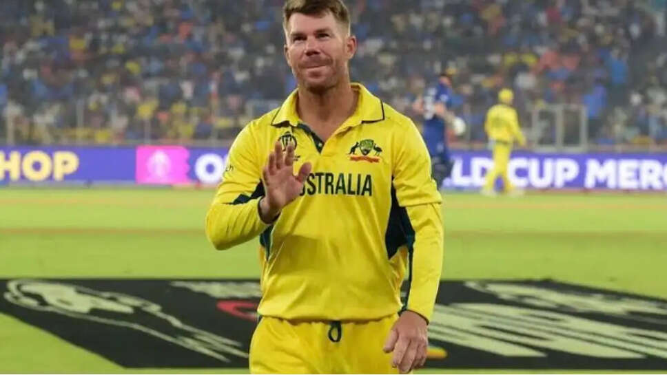 டேவிட் வார்னர்