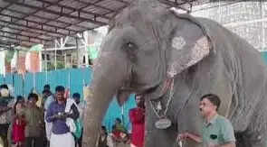 திருச்செந்துார்