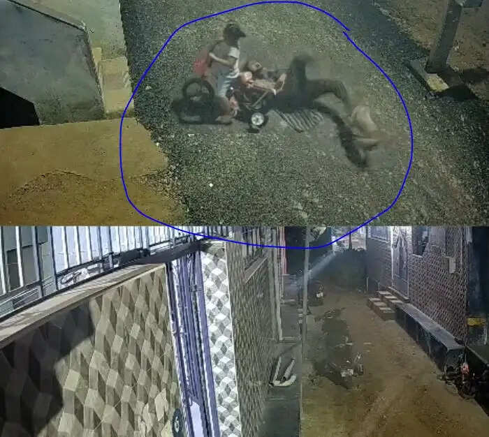 வெறிநாய்