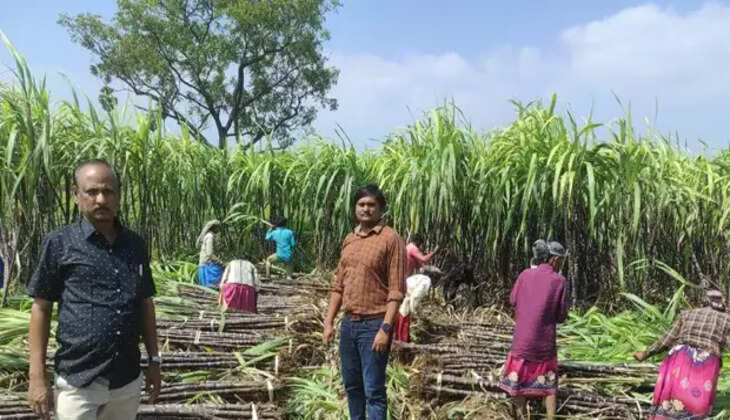 கரும்பு 