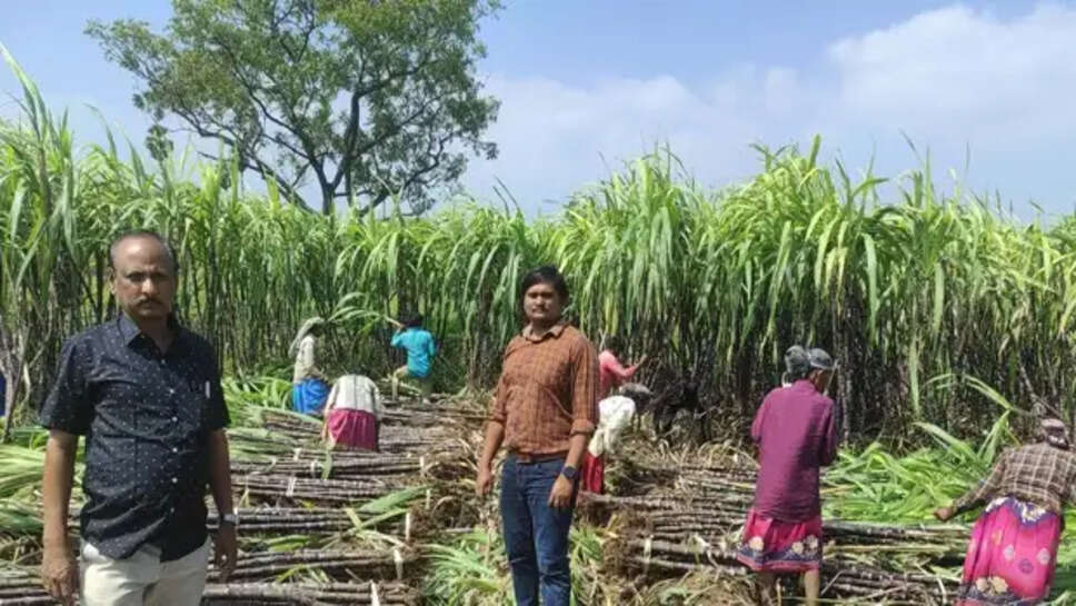 கரும்பு 