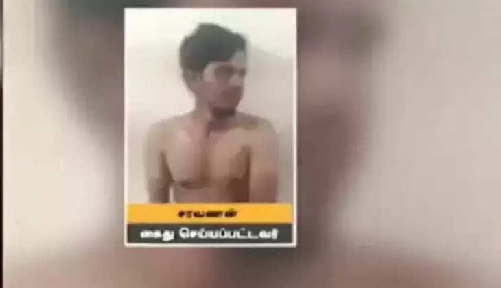 பாலியல்