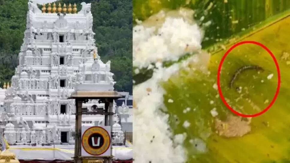 திருப்பதி அன்னதானம்