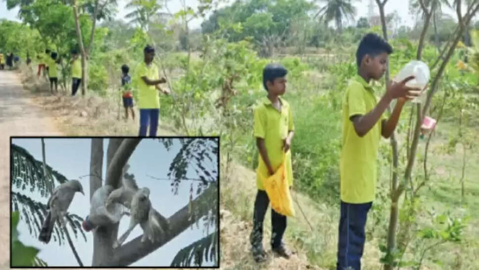 பறவைகளுக்கு தண்ணீர்
