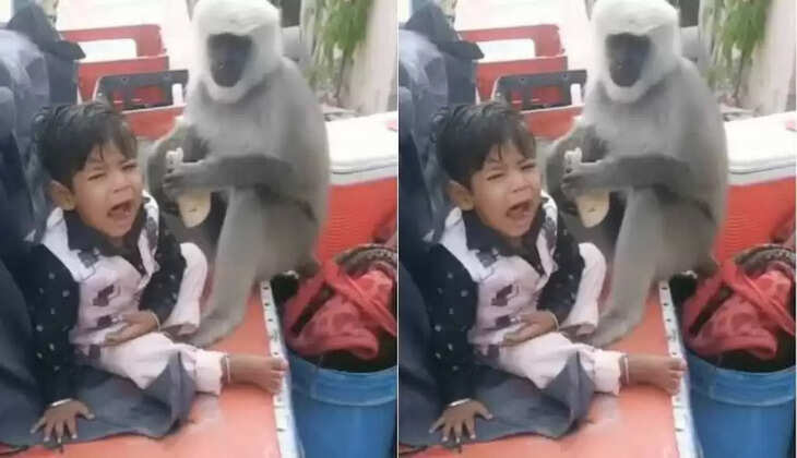  பகீர் வீடியோ... ரொட்டியை பறித்து சாப்பிடும் குரங்கு… கதறி அழுத குழந்தை... கண்டு கொள்ளாமல் வீடியோ எடுக்கும் தந்தை!  