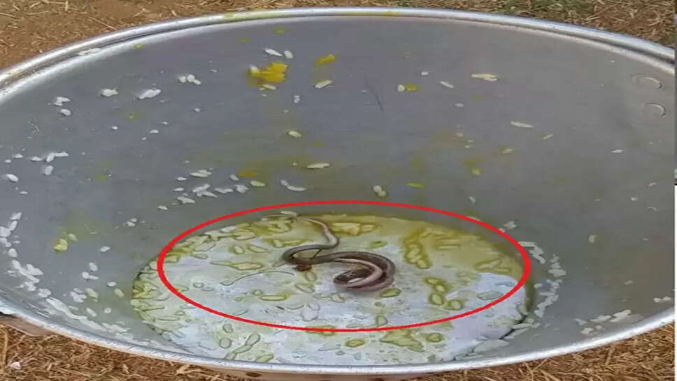 உணவில் பாம்பு