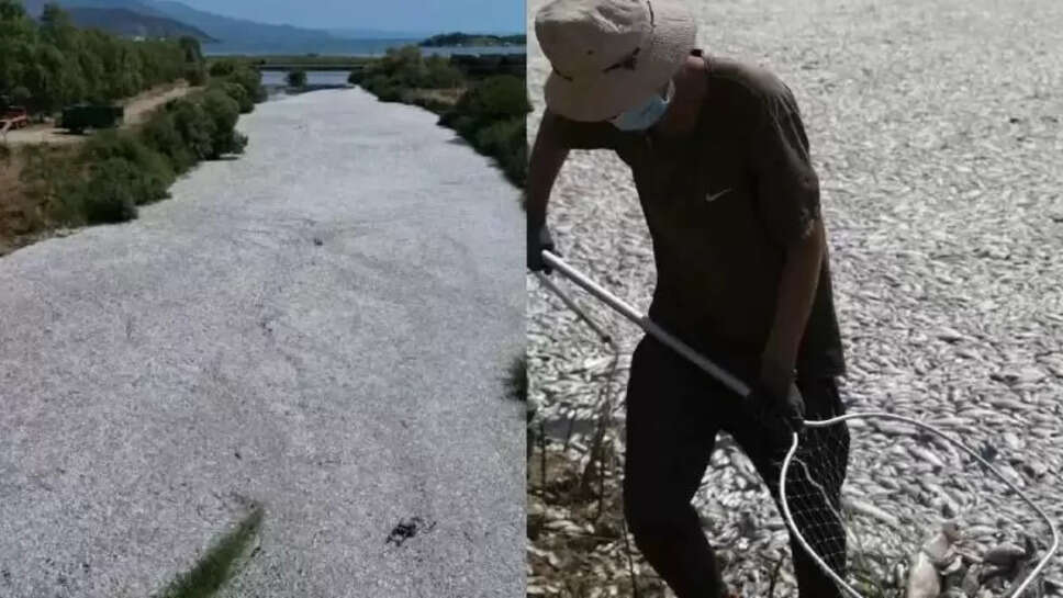 வோலோஸ் துறைமுகம்