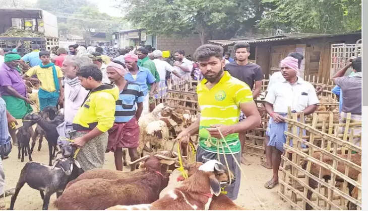 பாவூர் சத்திரம் ஆட்டுச்சந்தை