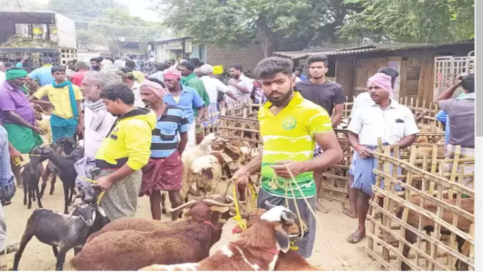 பாவூர் சத்திரம் ஆட்டுச்சந்தை