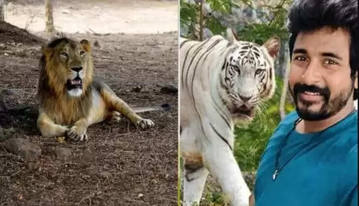 சிவகார்த்திகேயன் வெள்ளைப் புலி