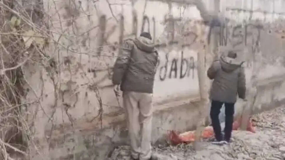 SFJ அமைப்பு