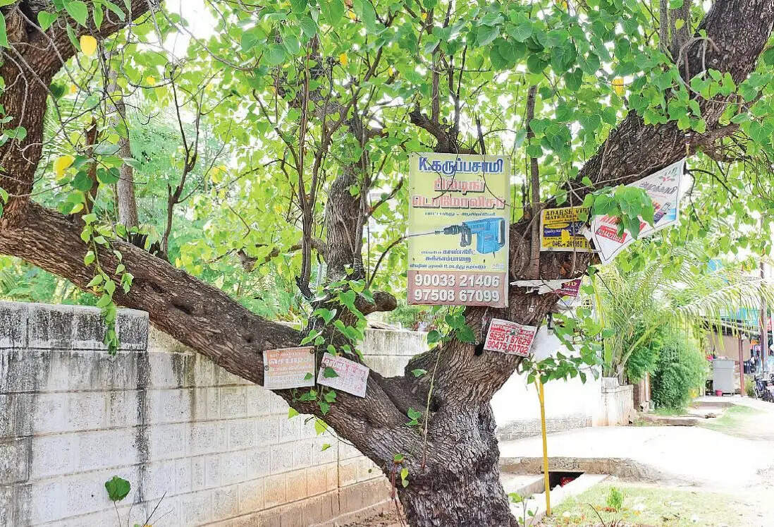 மரம் வெட்டினால்
