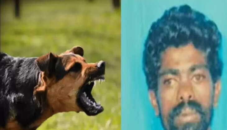 மல்லப்பா