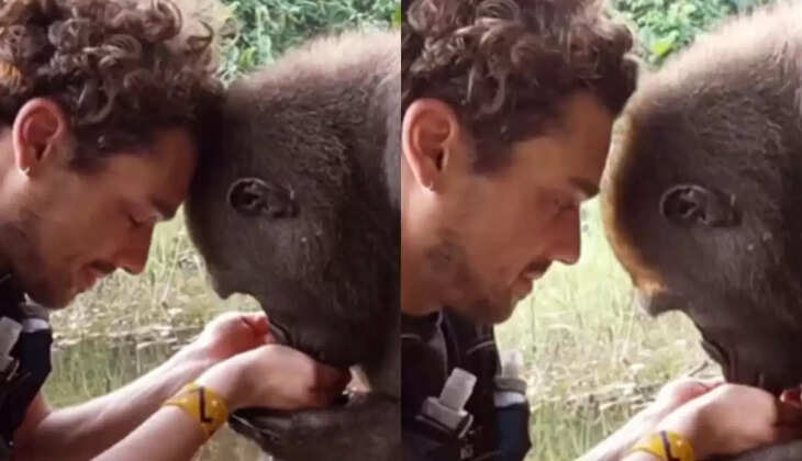 நெகிழ்ச்சி வீடியோ... கைகளால் தண்ணீரை கொடுக்கும் நபர்... அழகாக குடித்த கொரில்லா! 