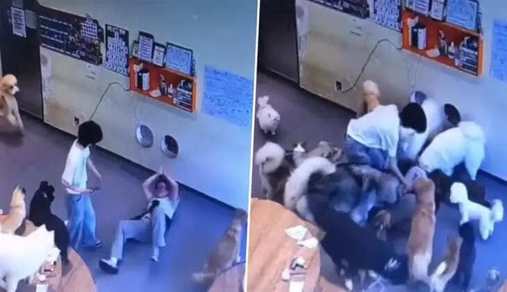 நெகிழ்ச்சி வீடியோ... அடி பட்டுடுச்சா....? தடுக்கி விழுந்த பெண்&hellip; கும்பலாக ஓடி வந்து கவனிக்கும் நாய்கள் !