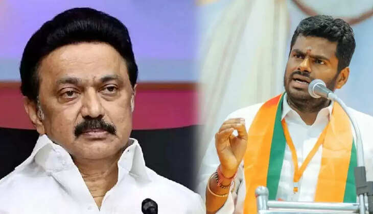 அண்ணாமலை 