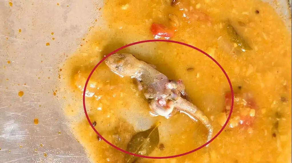 பல்லி