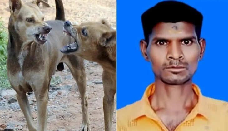 அற்புதராஜ்