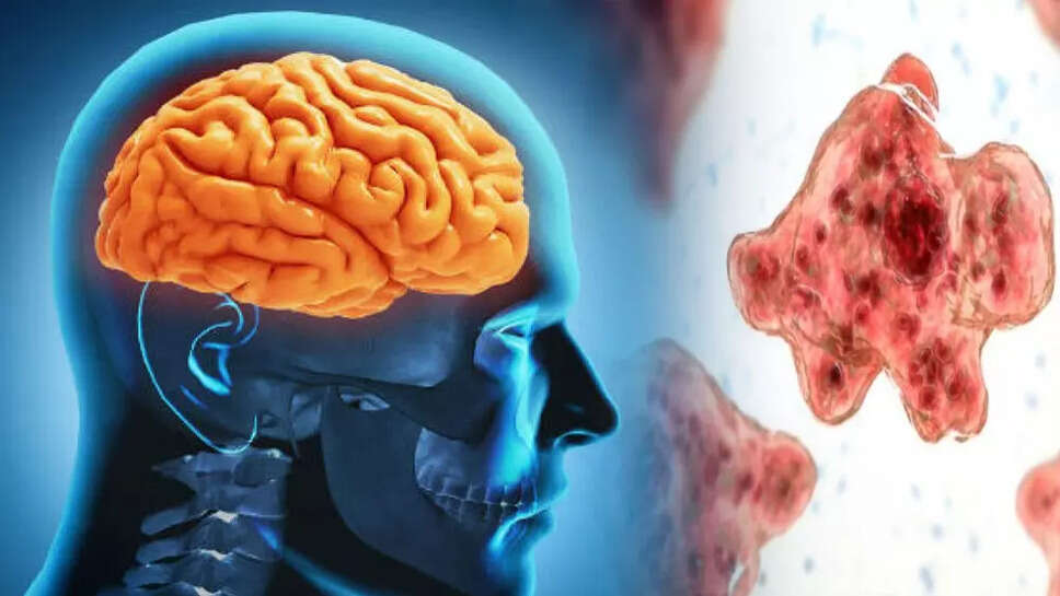 மூளையை உண்ணும் அமீபா