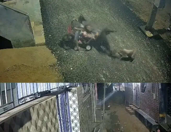 வெறிநாய்